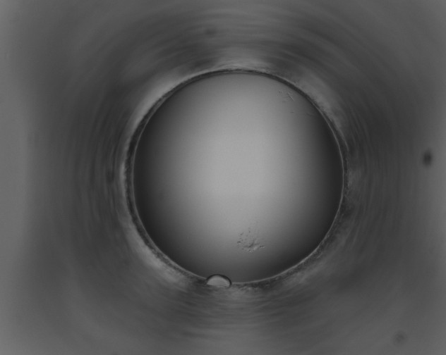 X0000093520947200710191329