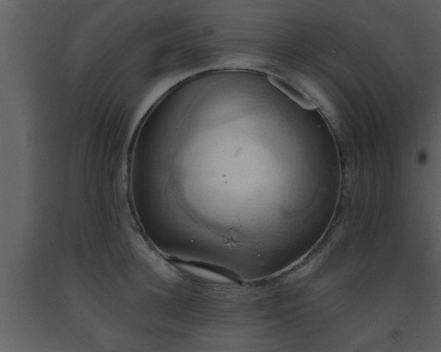 X0000093520948200710191329