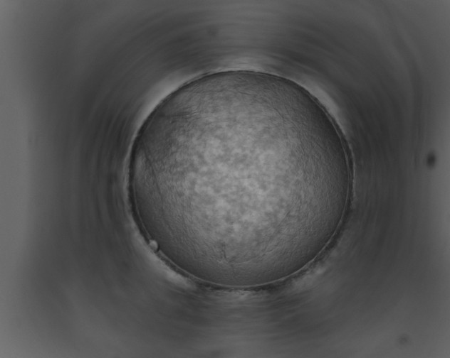 X0000093520949200710191329