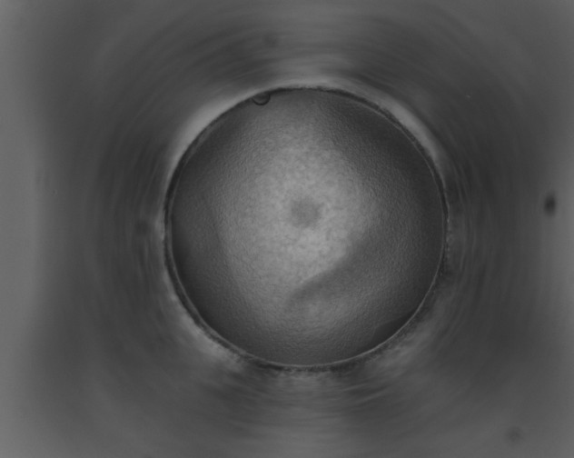 X0000093520951200710191329