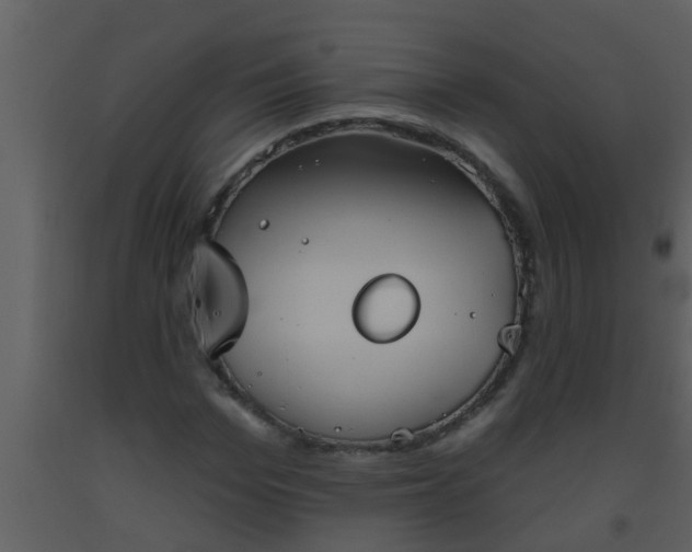 X0000093520969200710191329