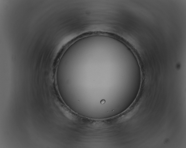 X0000093520974200710191329