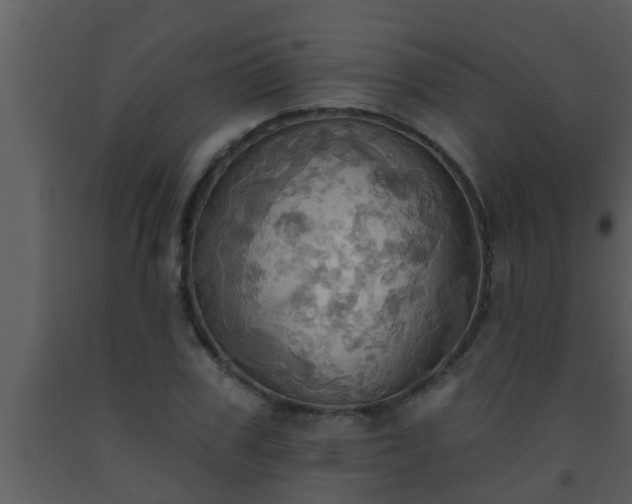 X0000093520979200710191329