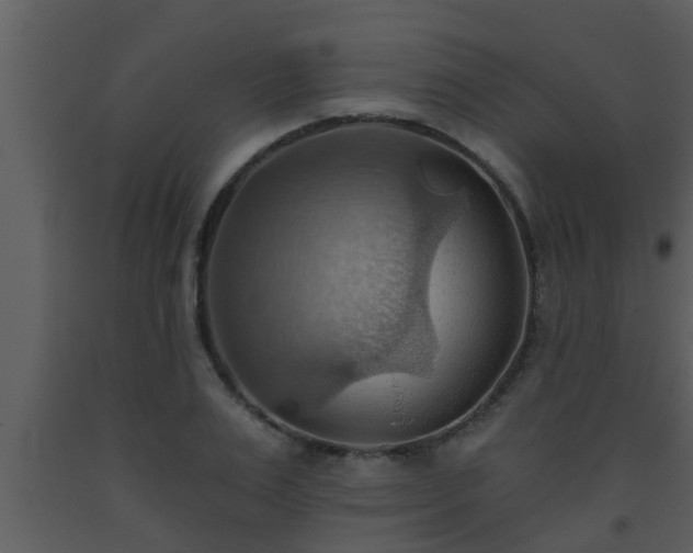 X0000093520983200710191328