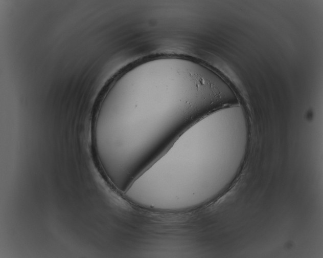 X0000093520984200710191328