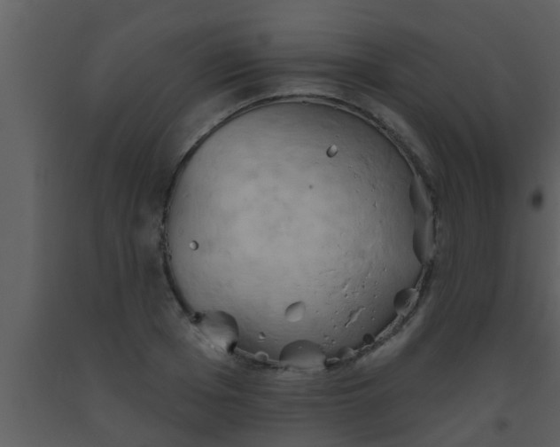 X0000093520985200710191328