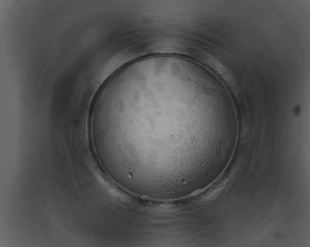 X0000093520986200710191328