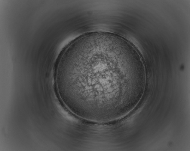 X0000093520987200710191328