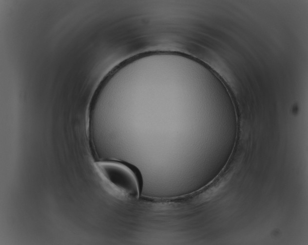X0000093520988200710191328