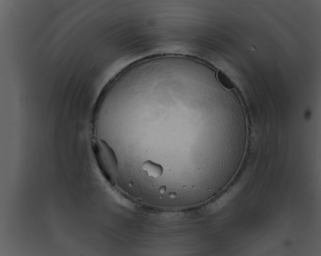 X0000093520989200710191328