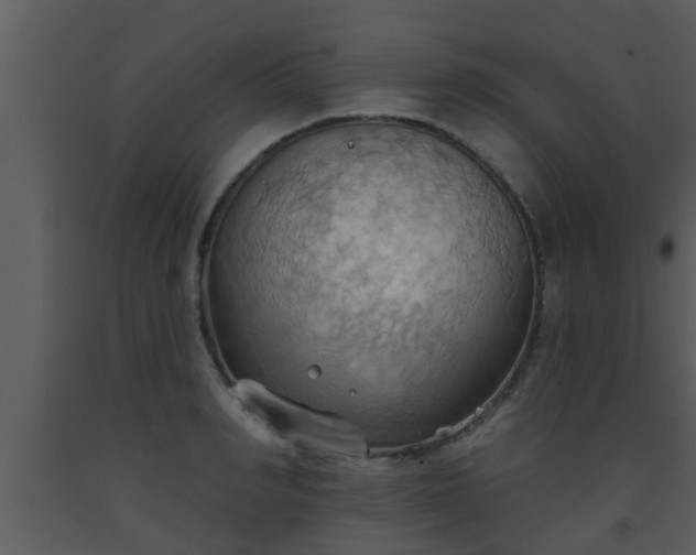 X0000093520990200710191328