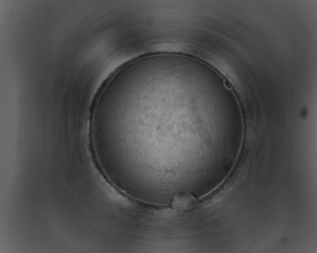 X0000093520992200710191328