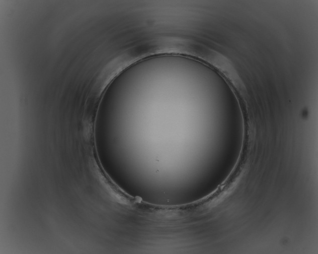 X0000093520993200710191328