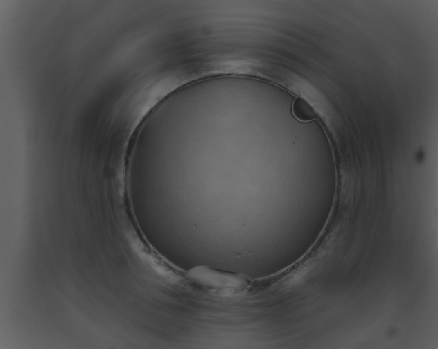 X0000093520994200710191328