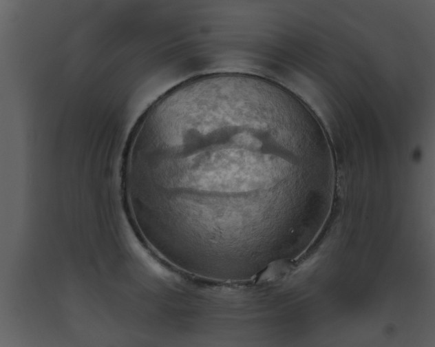X0000093520995200710191328