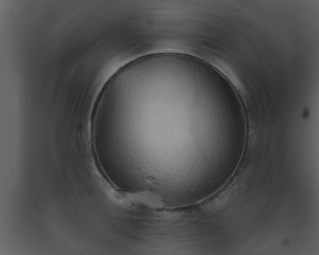 X0000093520996200710191328