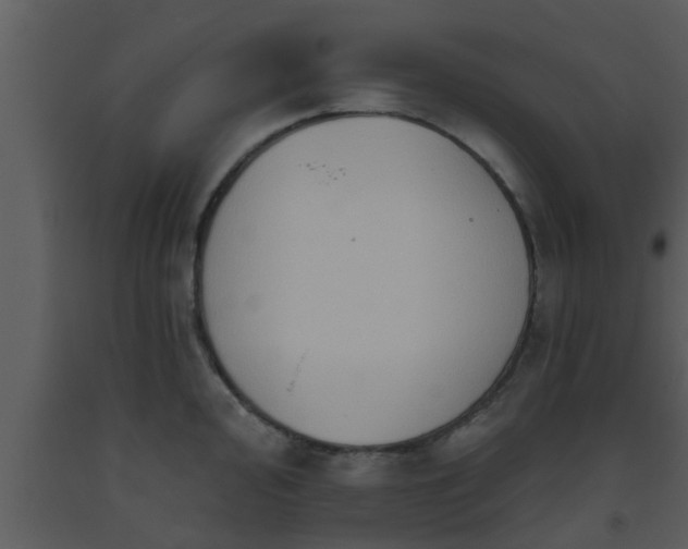 X0000093521000200710191328