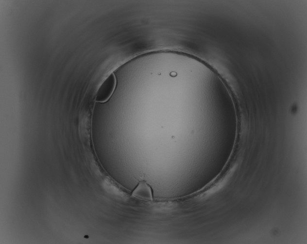 X0000093521001200710191328