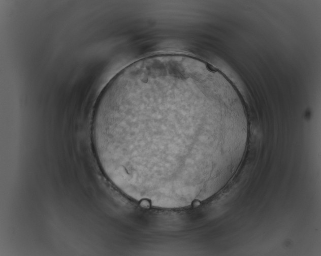 X0000093521002200710191328