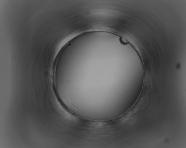 X0000093521003200710191328