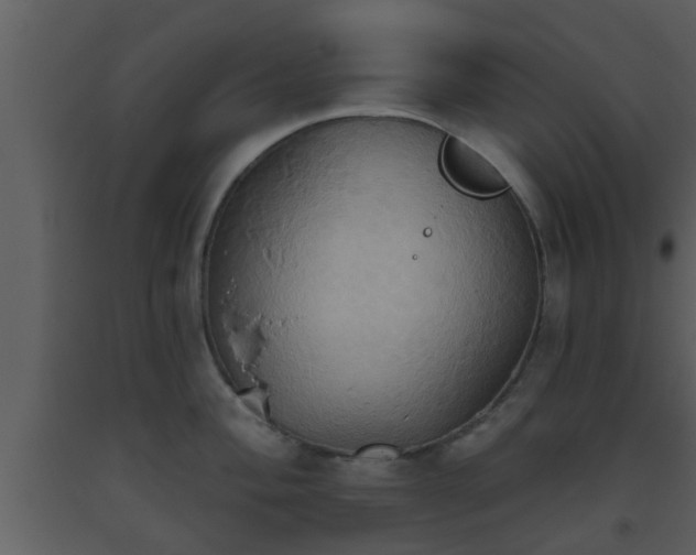 X0000093521004200710191328