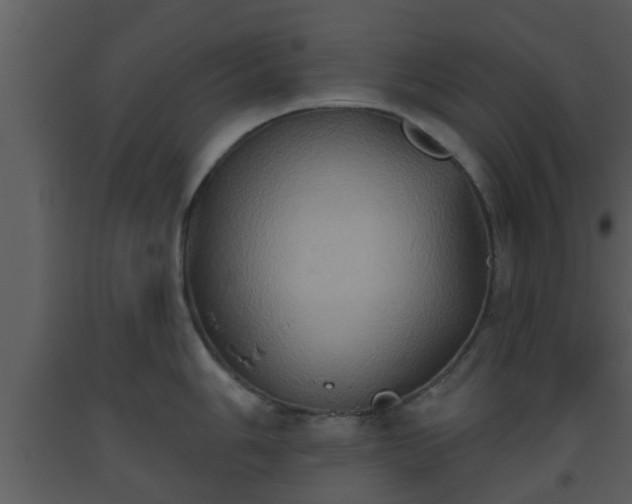 X0000093521006200710191328