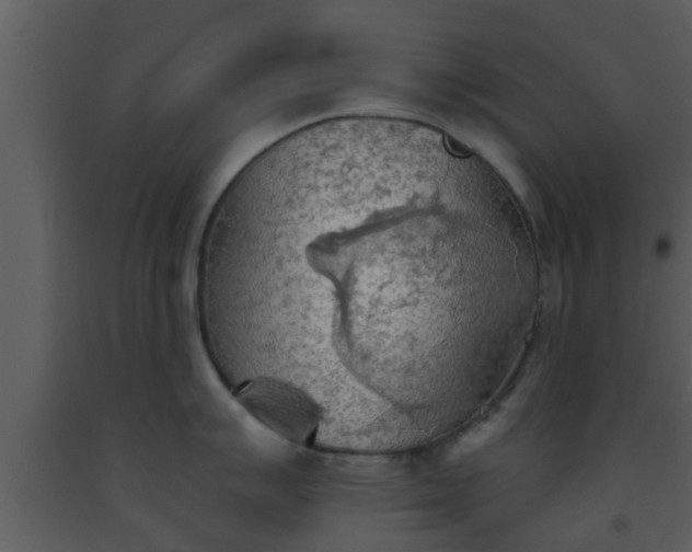 X0000093521007200710191328