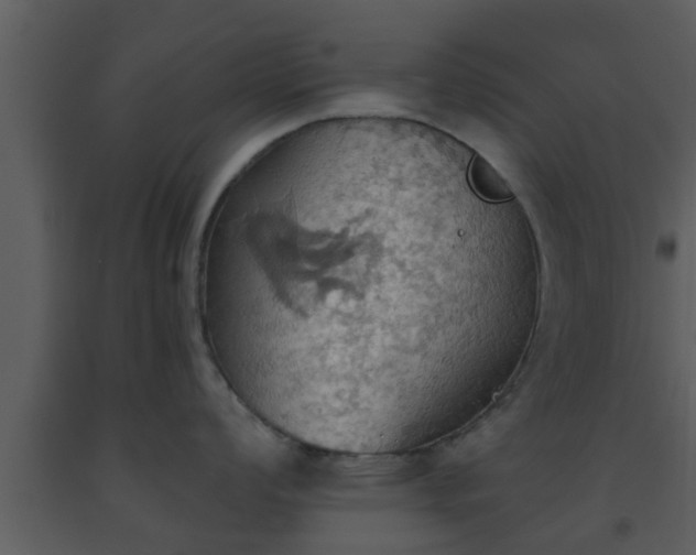 X0000093521008200710191328