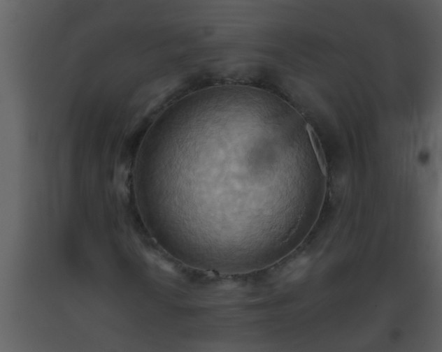 X0000093521010200710191327
