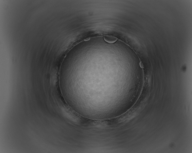 X0000093521012200710191327