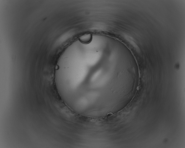 X0000093521015200710191327