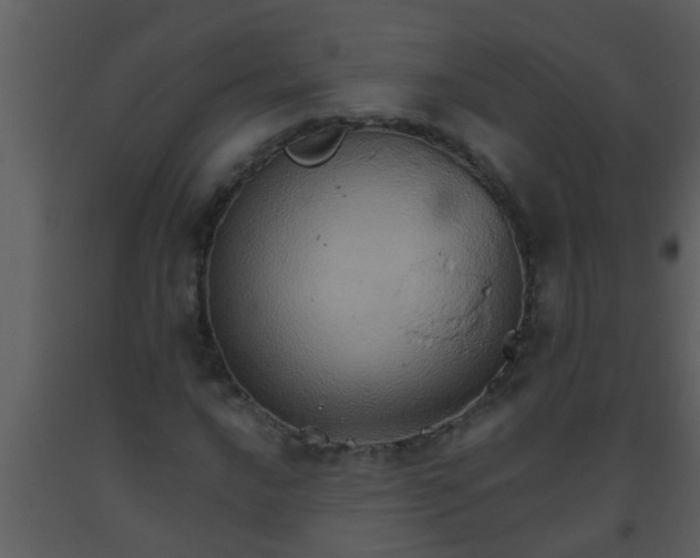 X0000093521016200710191328