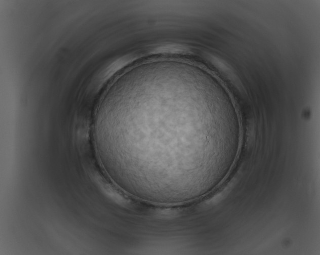 X0000093521017200710191328