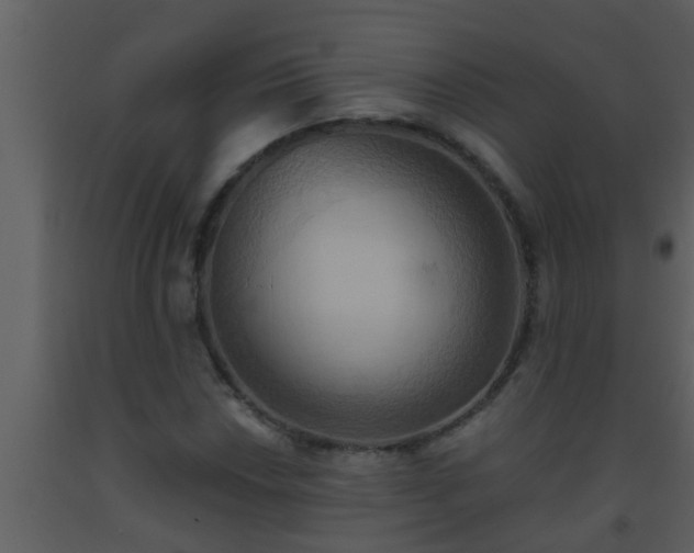 X0000093521018200710191328