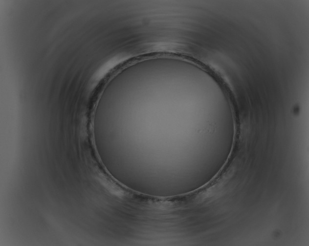 X0000093521019200710191328