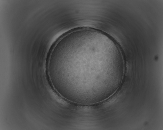 X0000093521020200710191328