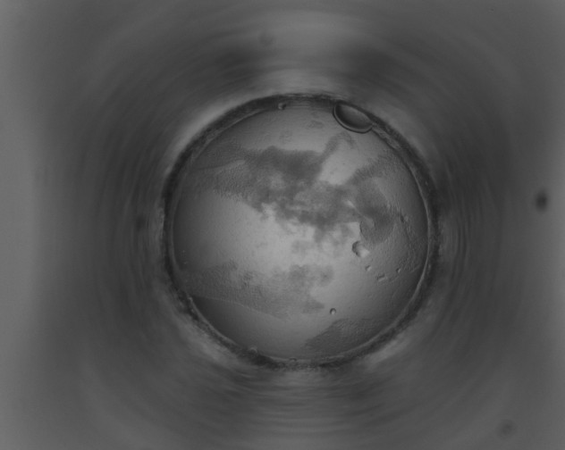 X0000093521021200710191328