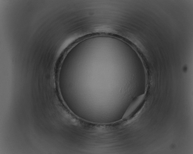 X0000093521022200710191328