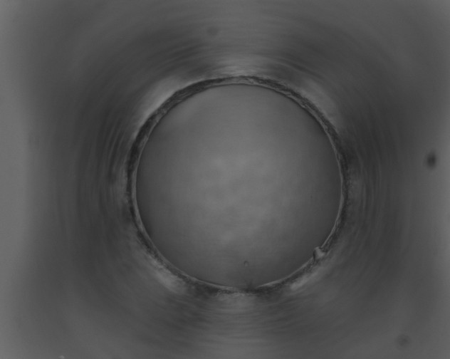 X0000093521023200710191328