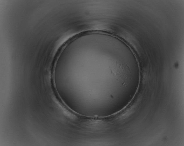 X0000093521024200710191328