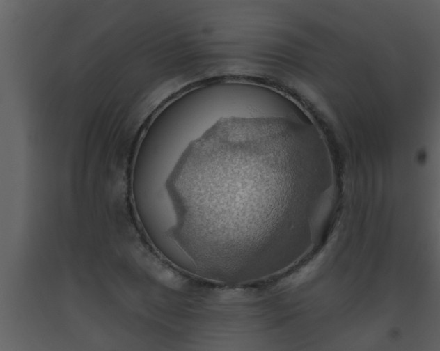 X0000093521025200710191328