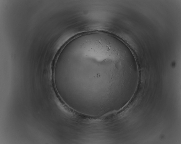 X0000093521031200710191328