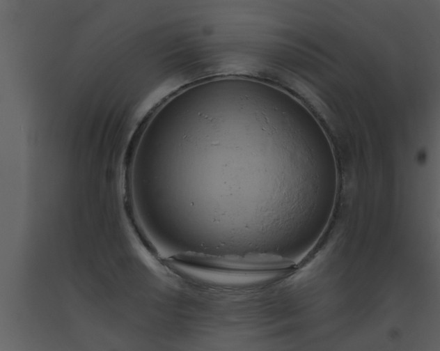 X0000093521034200710191328