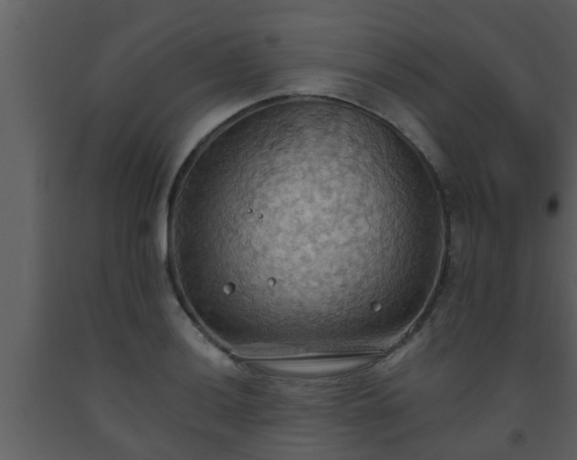 X0000093521036200710191328