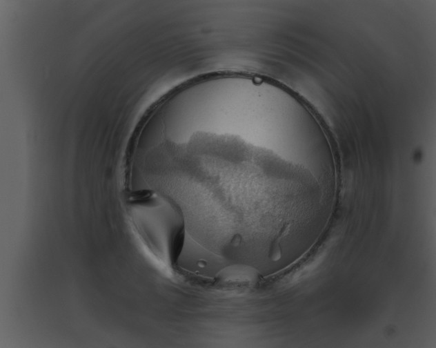 X0000093521037200710191328