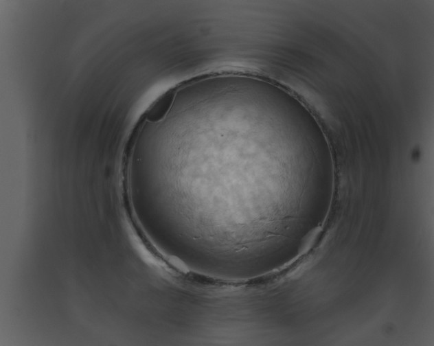 X0000093521038200710191328