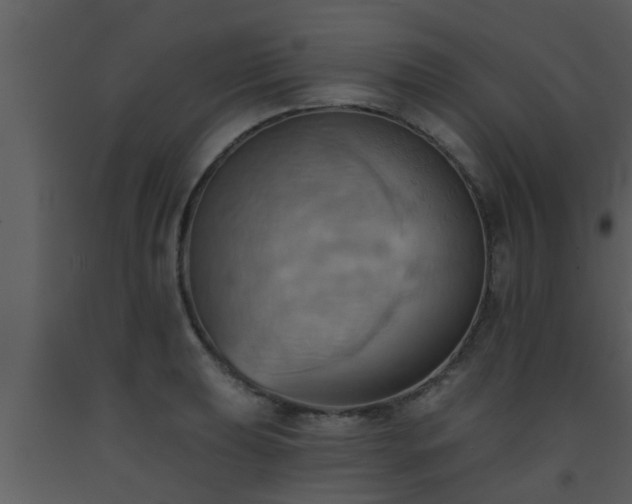 X0000093521039200710191328
