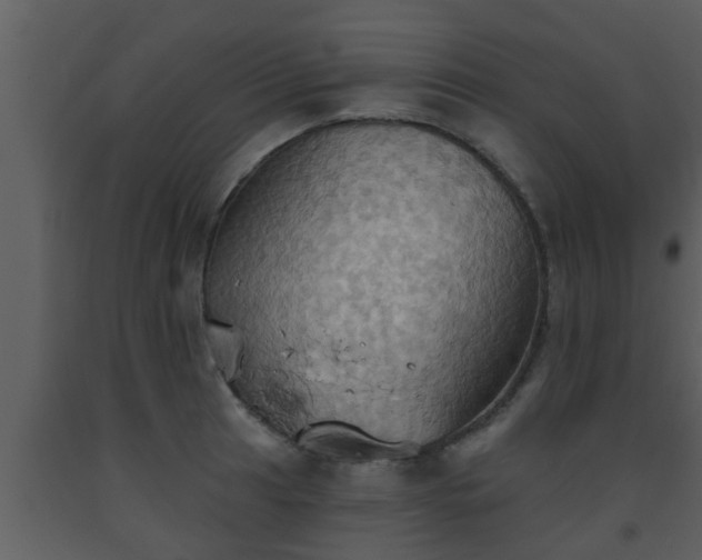 X0000093521041200710191328