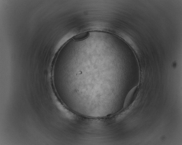 X0000093521042200710191328
