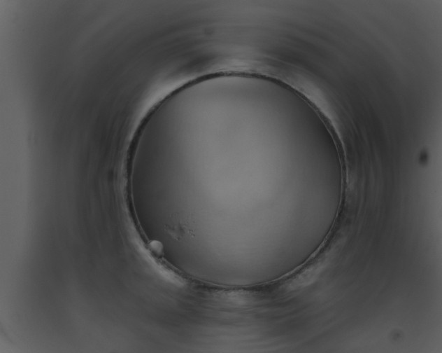 X0000093521045200710191328
